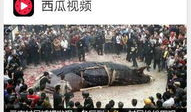 吃瓜网今日爆料新闻视频下载,揭秘今日热门爆料视频幕后下载攻略
