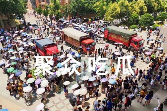 今日吃瓜安阳学院,揭秘校园热点事件背后的真相