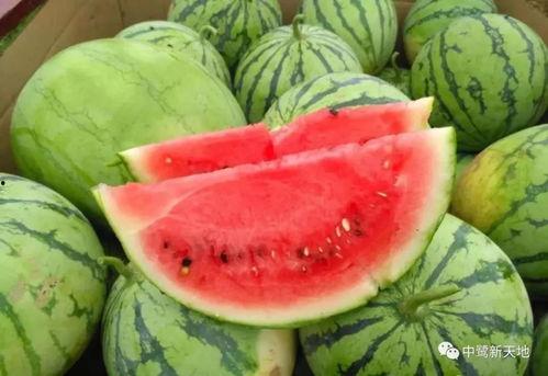 五一吃瓜今日吃瓜娜娜往日大瓜,娜娜昔日大瓜盘点，揭秘娱乐圈幕后故事